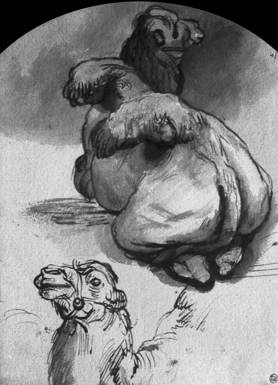 Tevék (toll, tinta és mosás papíron) alkotó: Rembrandt van Rijn