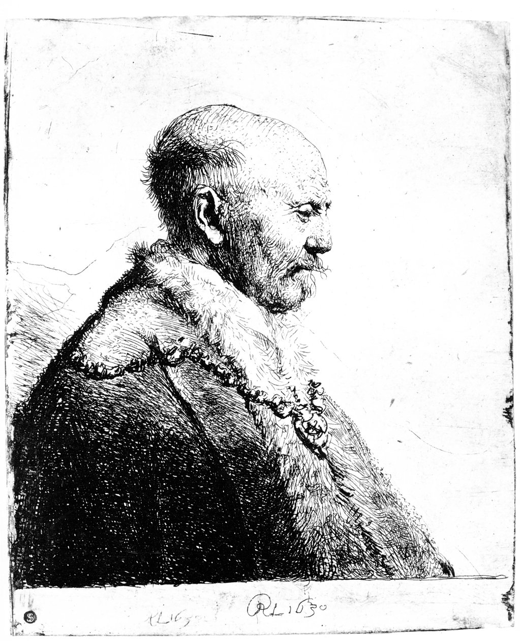 Kopasz fejű férfi portréja, 1630 alkotó: Rembrandt van Rijn
