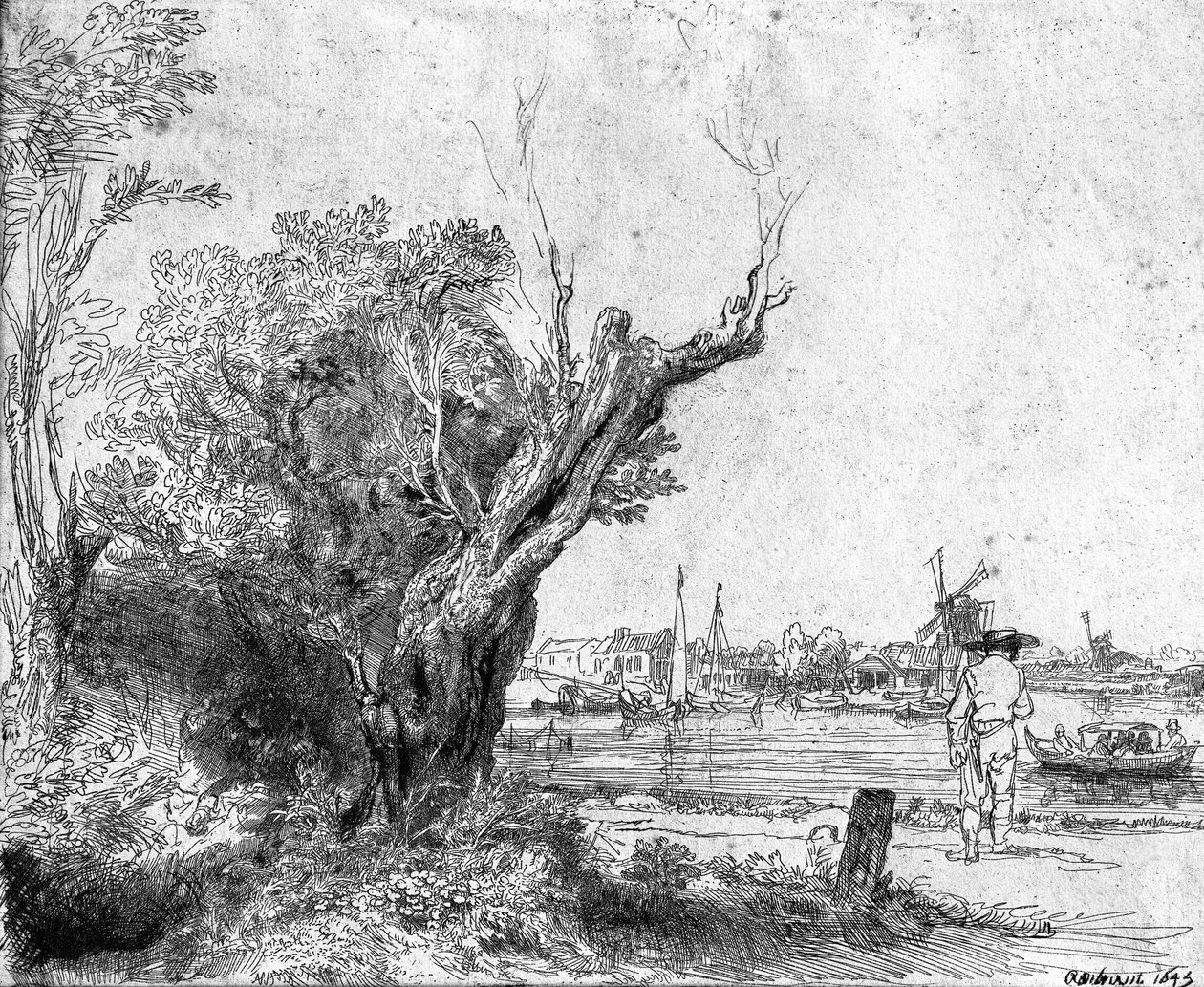 Kilátás Omvalra, Amszterdam közelében, 1645 alkotó: Rembrandt van Rijn