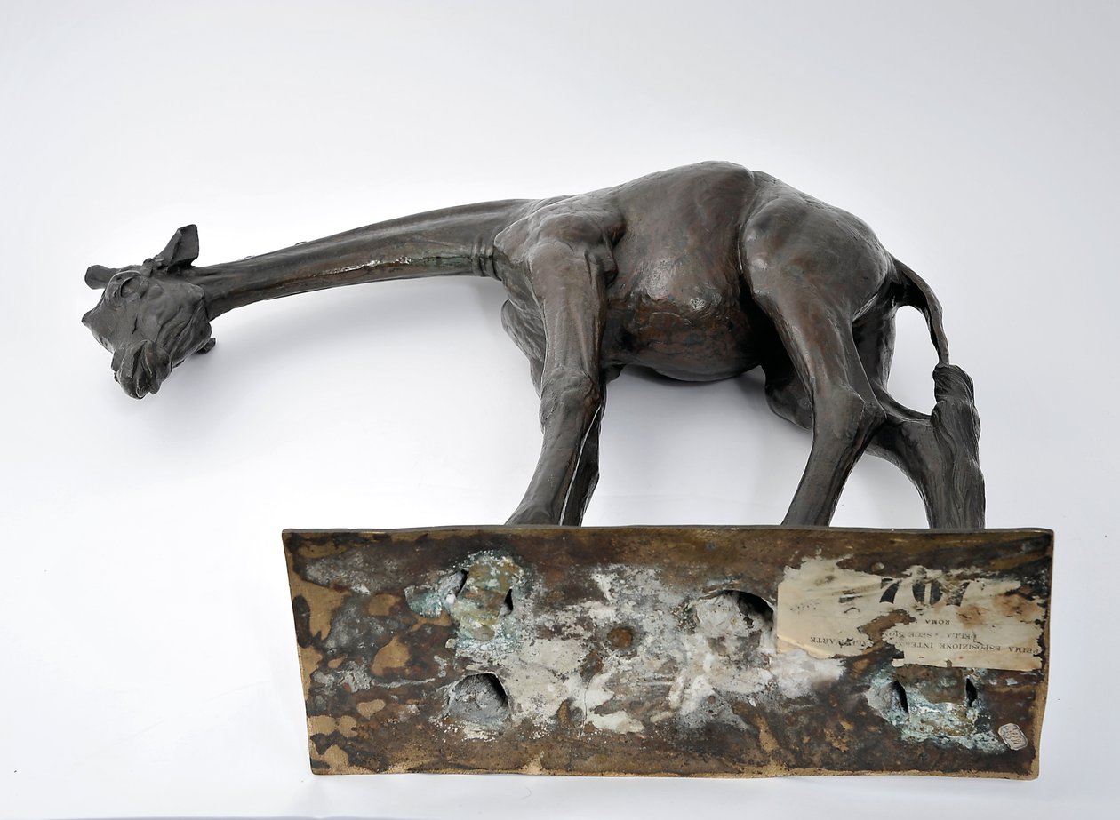 Nagy zsiráf lehajtott fejjel, 1909-10 mintájú, 1913 előtt öntött (bronz) (lásd még: 3084917-43) alkotó: Rembrandt Bugatti
