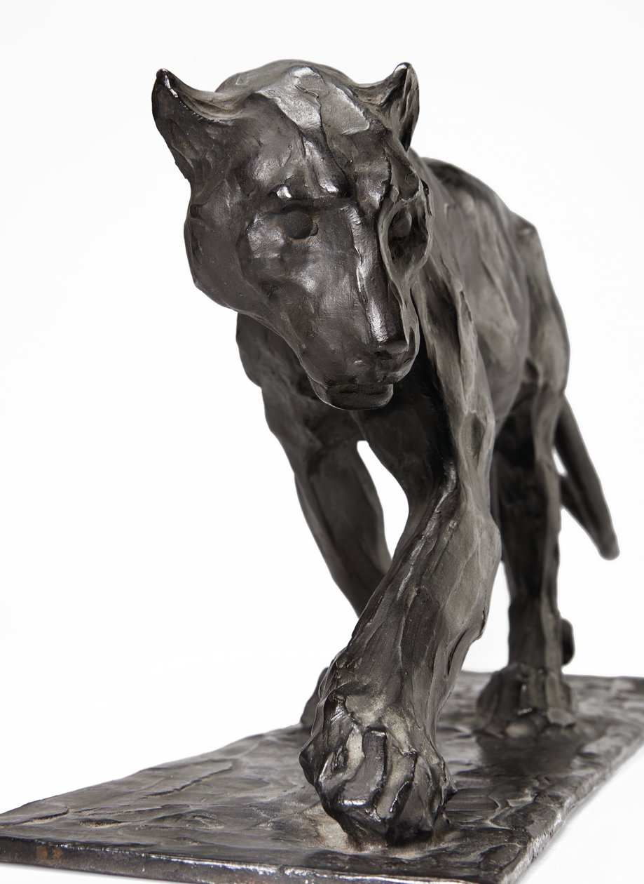 Párduc járás, felemelt hátsó láb, 1904 körül (patinás bronz) alkotó: Rembrandt Bugatti