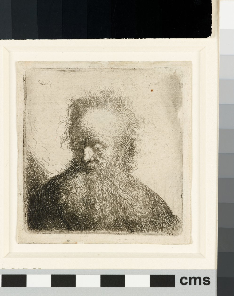 Folyó szakállú öregember: mellszobor alkotó: Rembrandt van Rijn