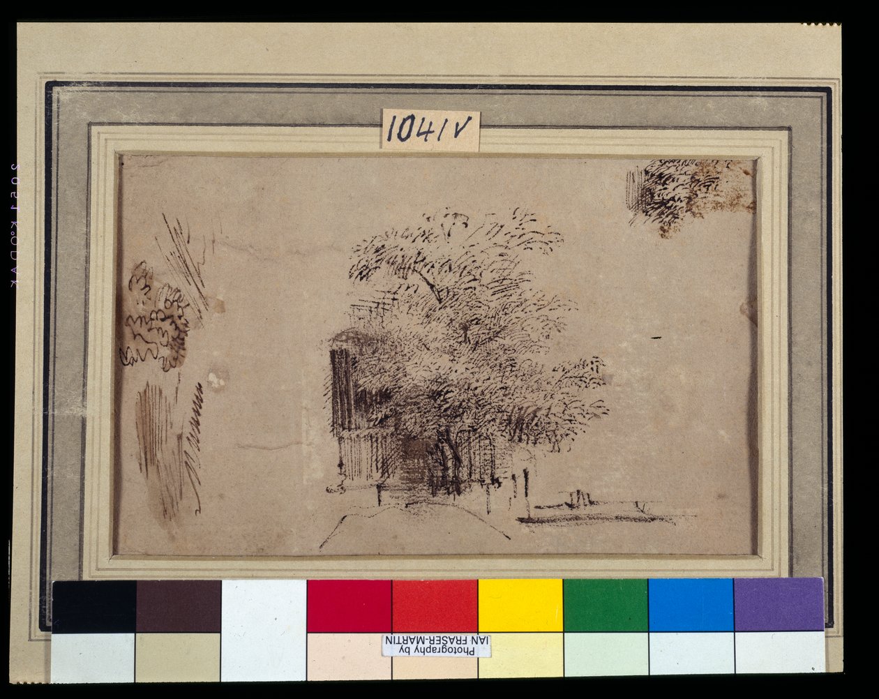 Egy ház előtti fa tanulmányozása (toll és tinta mosással papíron) alkotó: Rembrandt Harmensz. van Rijn