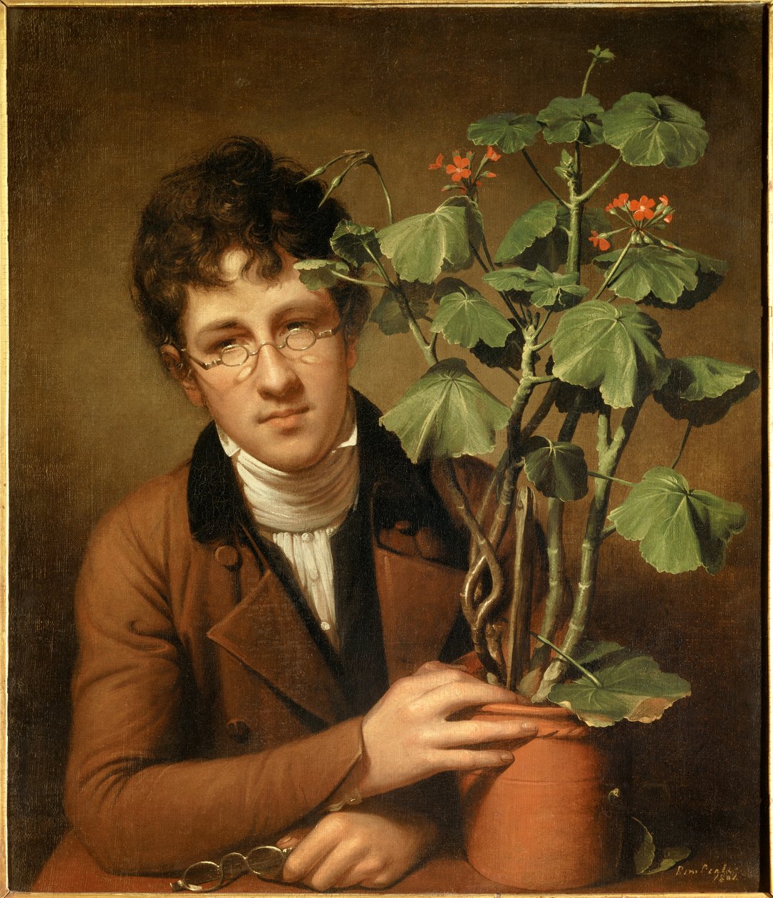Rubens Peale (1784-1864) festő portréja a muskátlinál Rembrandt Peale (1778-1860) festménye (ec.amer.) 1801 Collection privee - Rubens Peale festő (1784-1864) portréja muskátlival - Festmény: Rembrandt Peale (1778-1860), olajfestmény alkotó: Rembrandt Peale