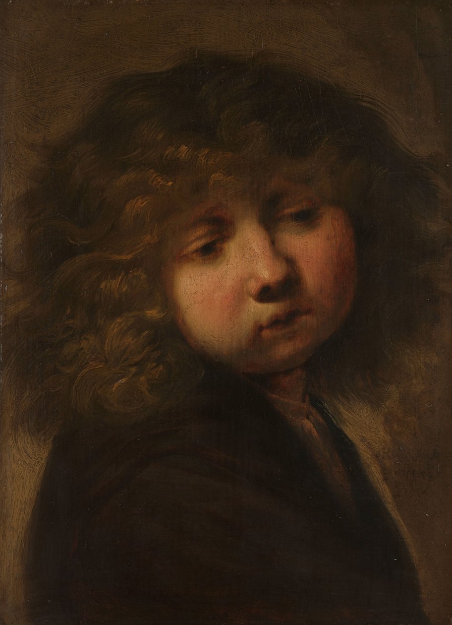 Egy fiú feje alkotó: Rembrandt van Rijn (circle of)