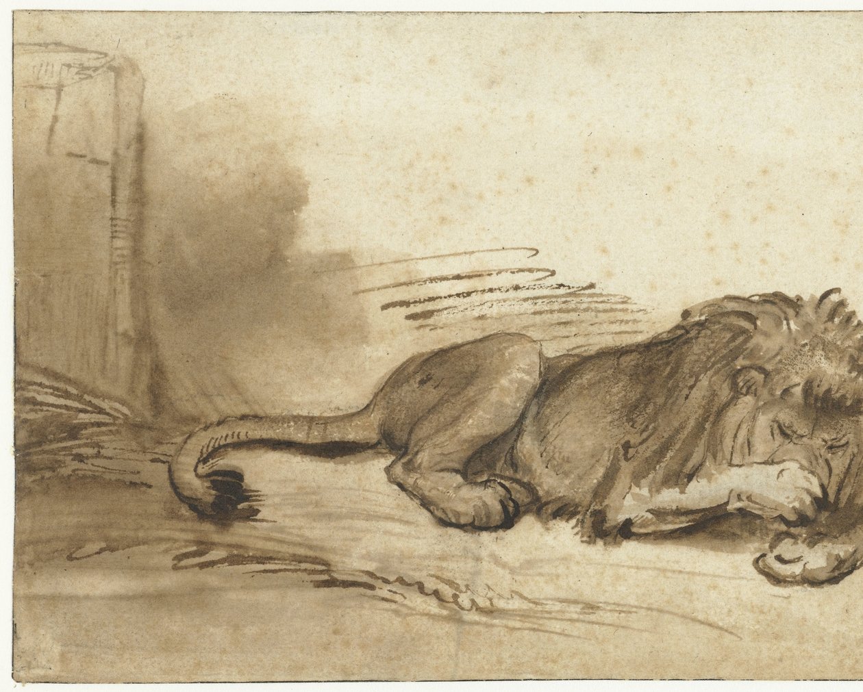 Fekvő oroszlán mellső mancsával a pofa fölött alkotó: Rembrandt van Rijn (school of)