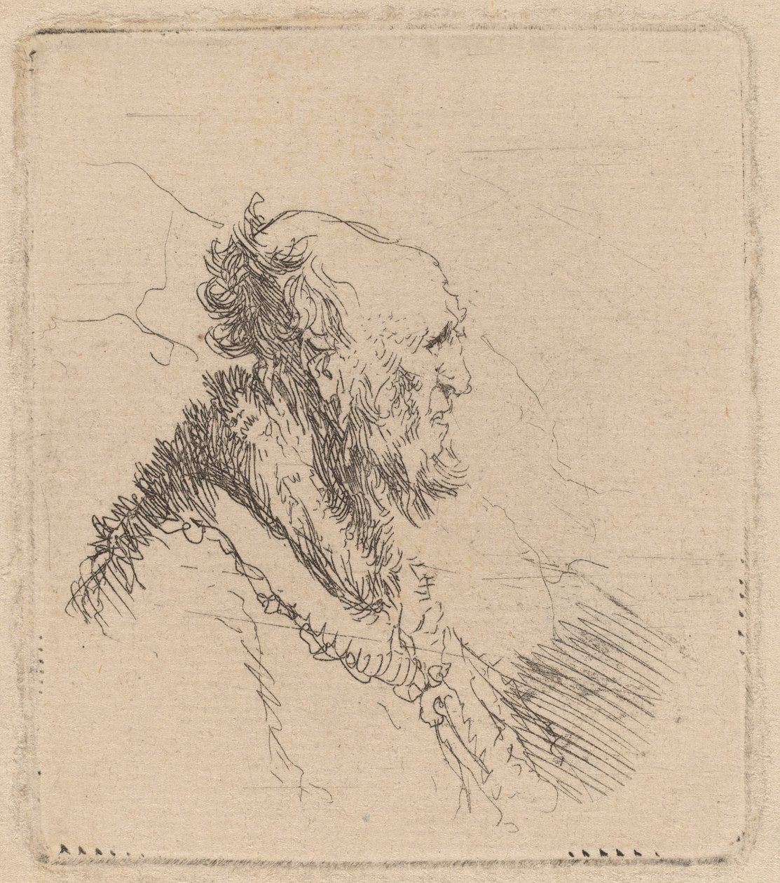 Kopasz öregember rövid szakállú profillal alkotó: Rembrandt van Rijn