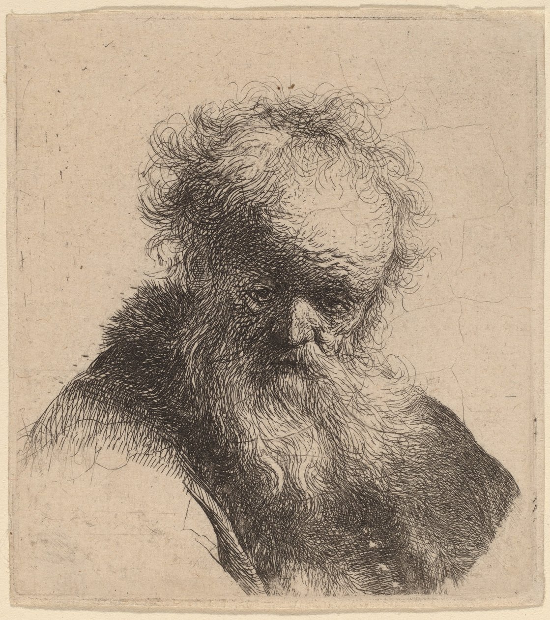 Egy idős férfi mellszobra szakállal és fehér ujjal alkotó: Rembrandt van Rijn