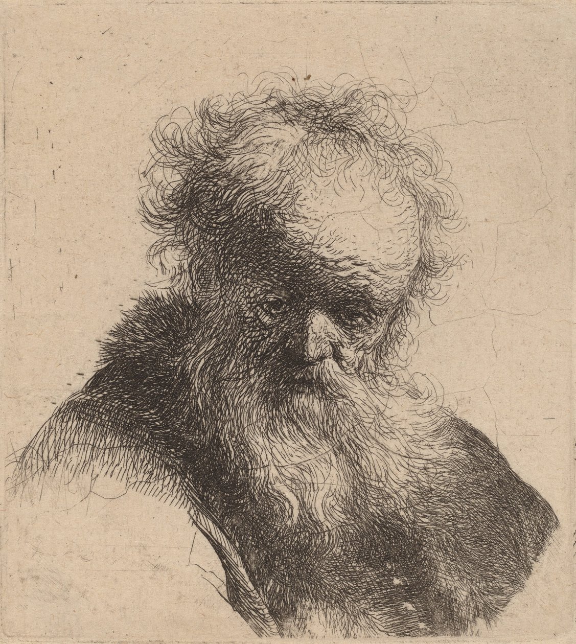 Folyó szakállú, fehér ujjú öregember mellszobra, c. 1630. alkotó: Rembrandt van Rijn