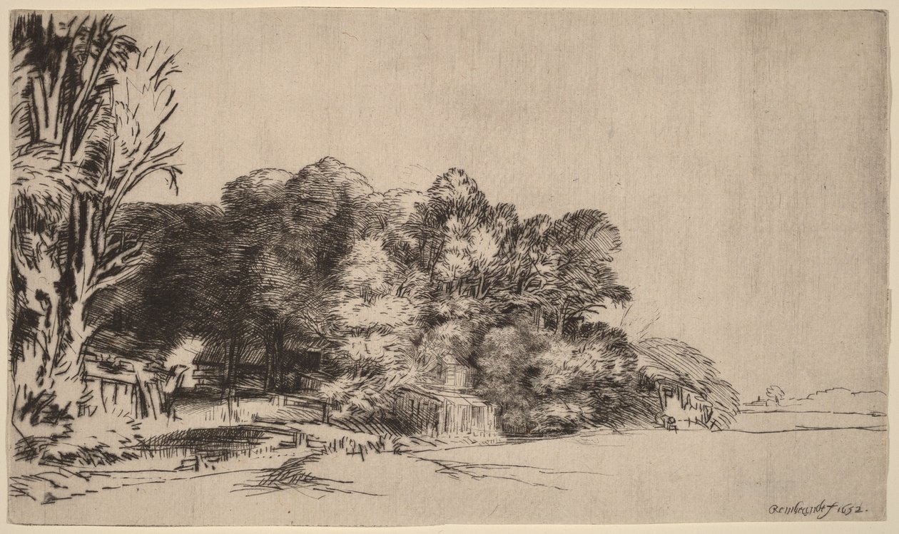 Fák csoportja kilátással alkotó: Rembrandt van Rijn