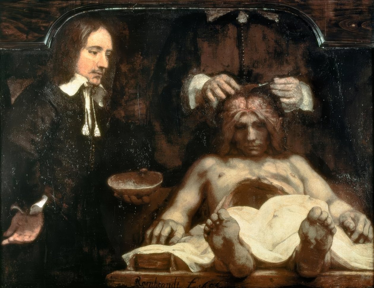 Az anatómia Dr. Johan Deijman alkotó: Rembrandt van Rijn