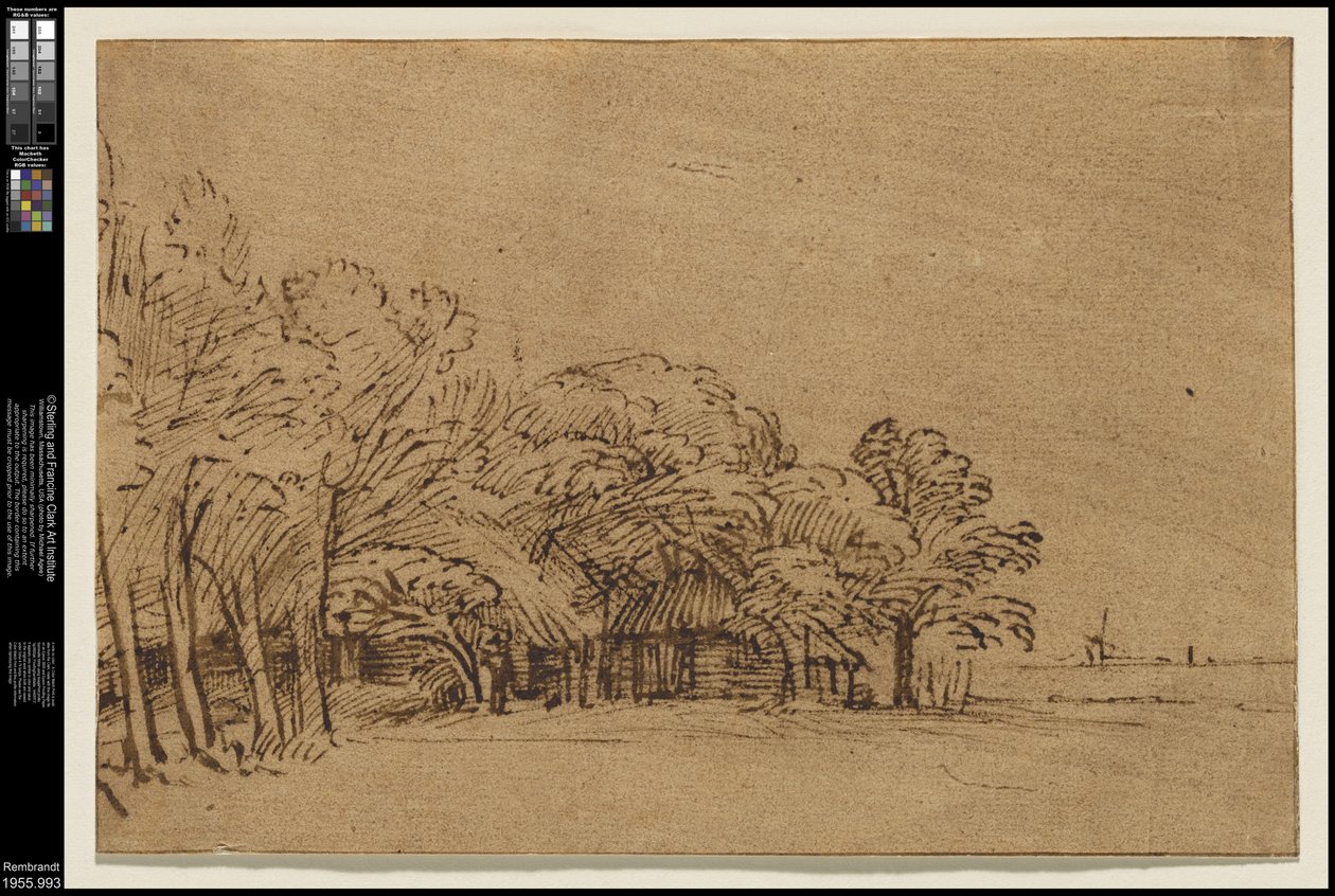 Farm a fák alatt, 1650 körül alkotó: Rembrandt van Rijn