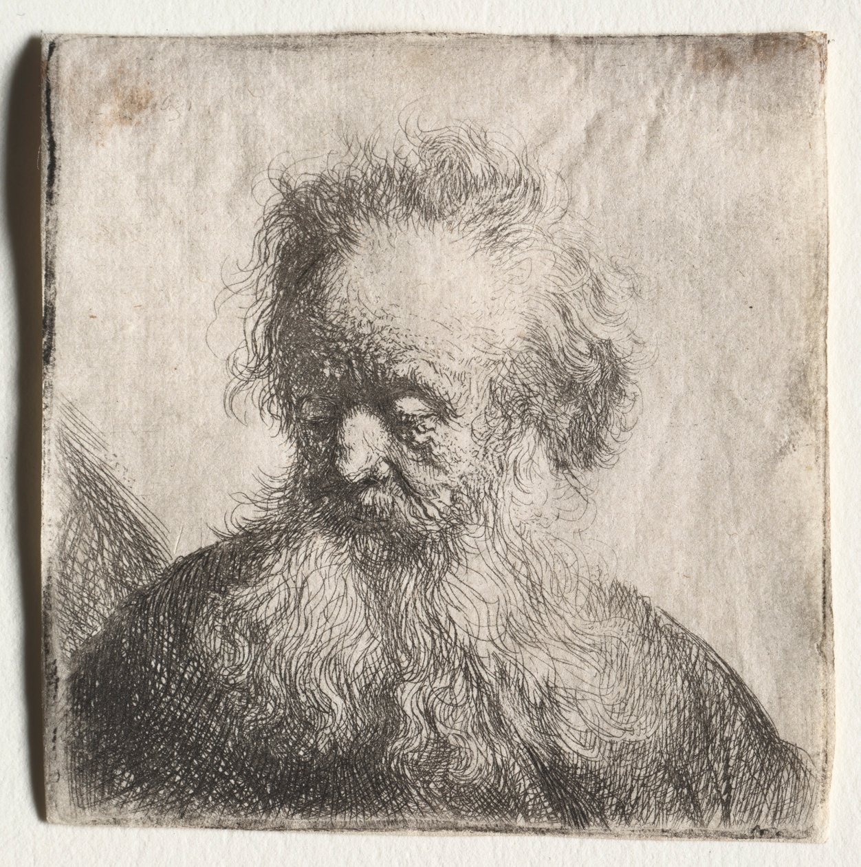 Folyó szakállú öreg: Mellszobor, 1631. alkotó: Rembrandt van Rijn