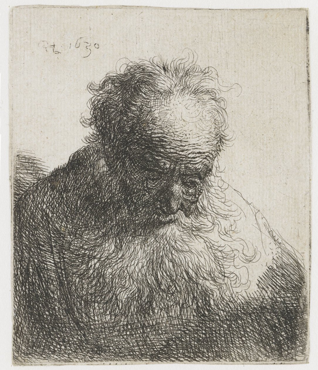 Folyó szakállú öregember, árnyéktalan bal válla Folyó szakállú idős férfi mellszobra: a fej előre hajtott: a bal váll árnyékolatlan alkotó: Rembrandt van Rijn