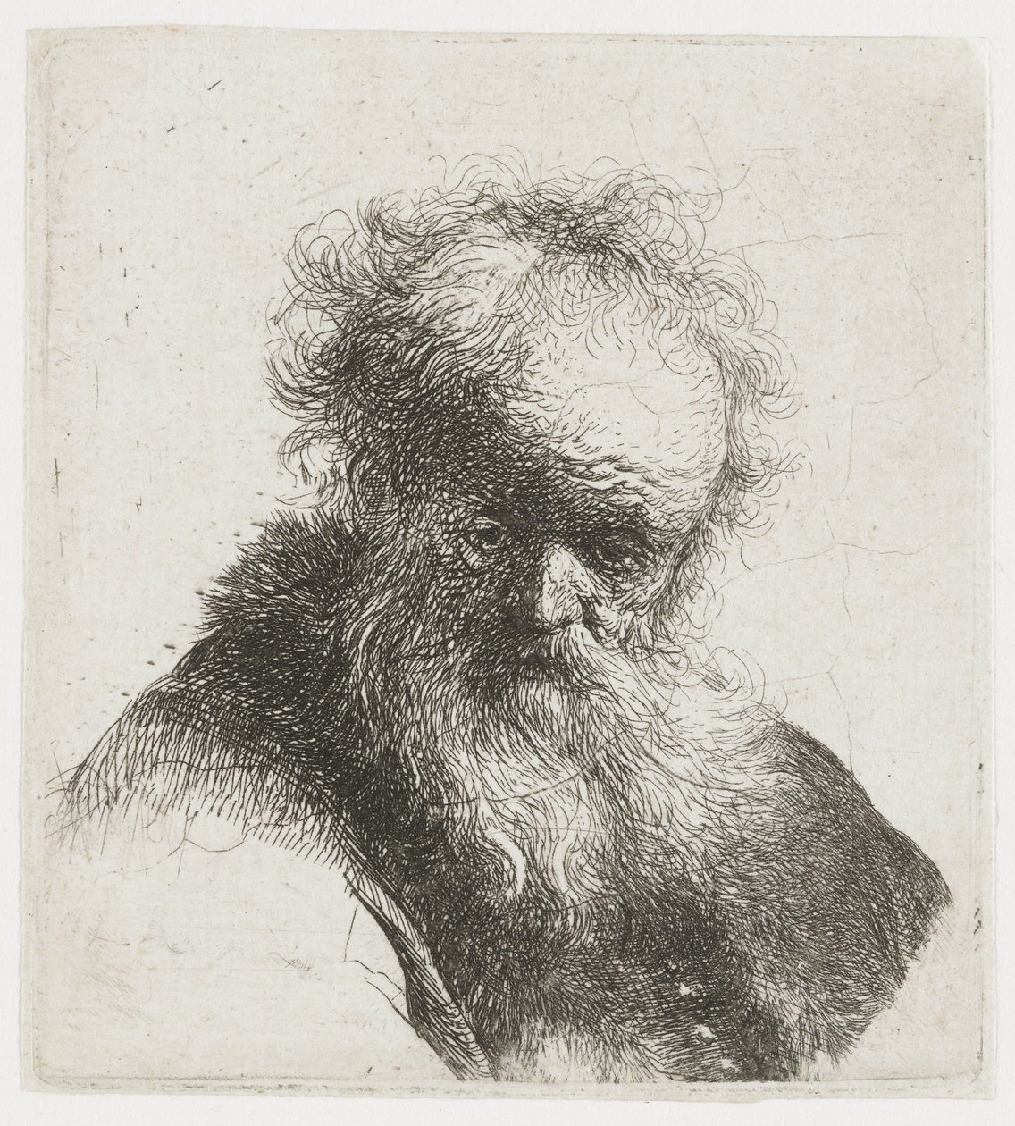 Hosszú szakállú, fehér ujjú öregember alkotó: Rembrandt van Rijn