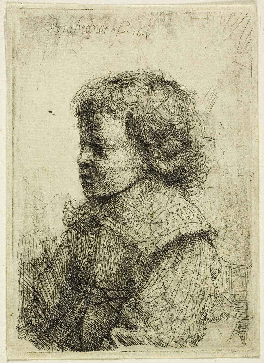 Egy fiú portréja alkotó: Rembrandt van Rijn