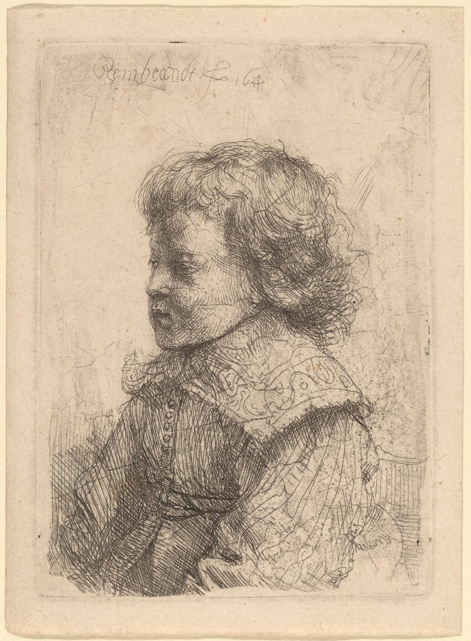 Egy fiú portréja a profilban alkotó: Rembrandt van Rijn