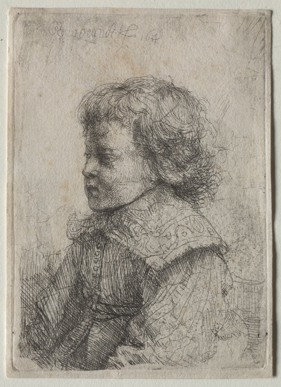 Egy fiú portréja a profilban alkotó: Rembrandt van Rijn