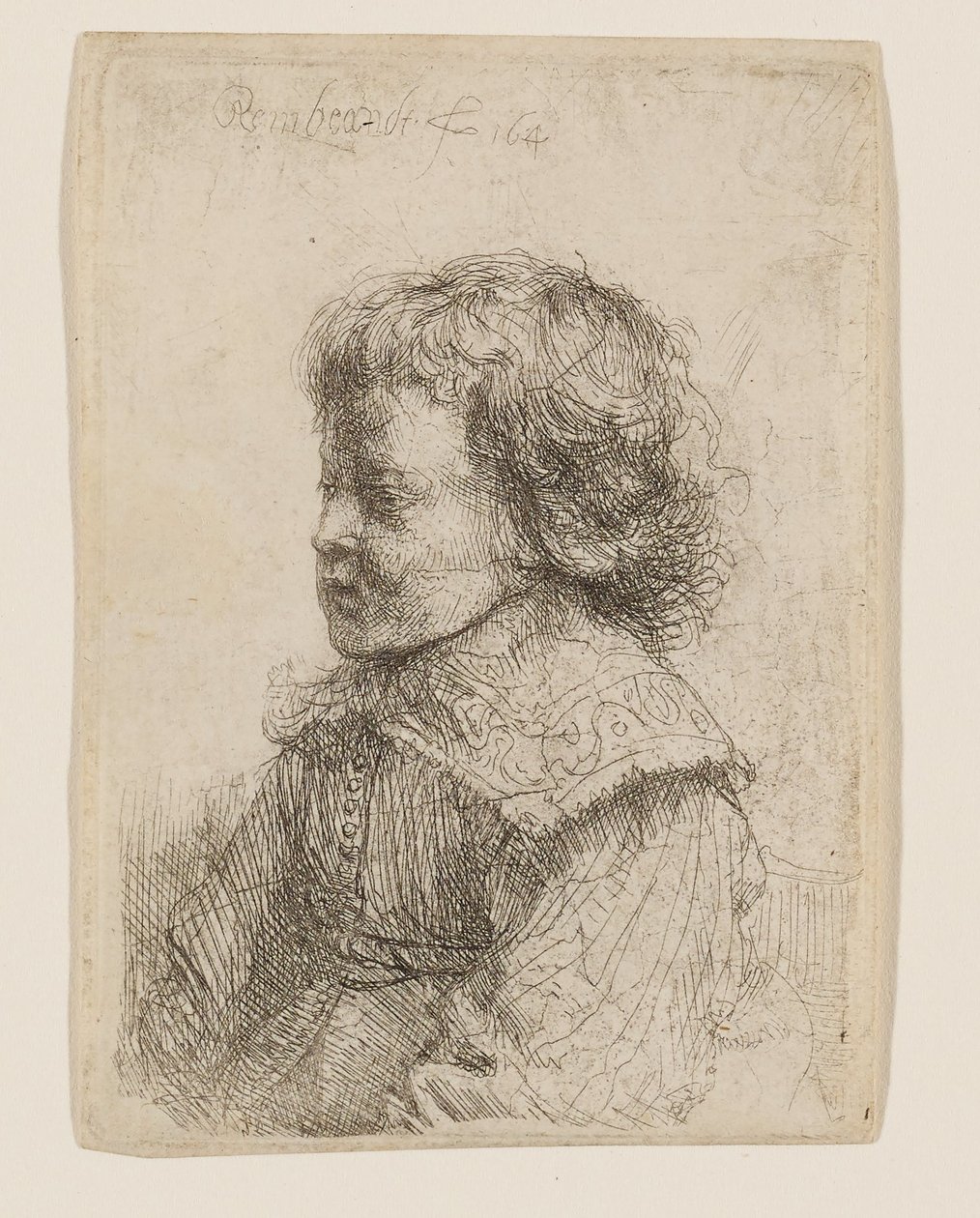 Egy fiú profilból készült portréja alkotó: Rembrandt van Rijn