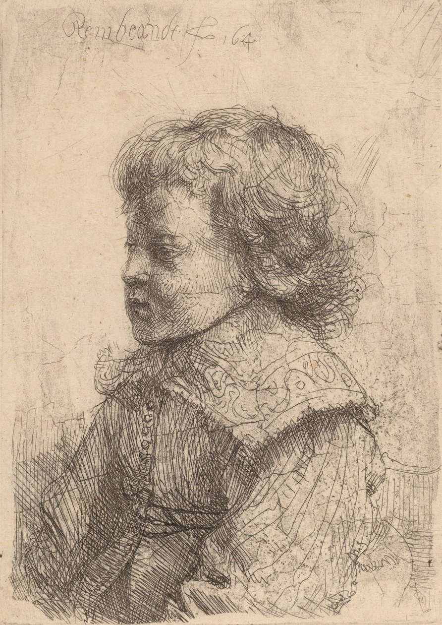 Fiú arcképe profilban, 1641. alkotó: Rembrandt van Rijn