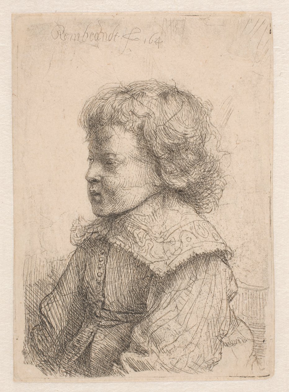 Egy fiú portréja, profilból alkotó: Rembrandt van Rijn