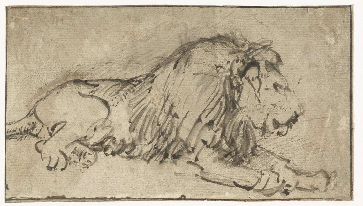 Fekvő oroszlán alkotó: Rembrandt van Rijn