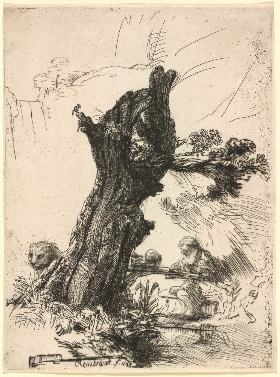 Szent Jeromos egy Pollard Willow mellett alkotó: Rembrandt van Rijn
