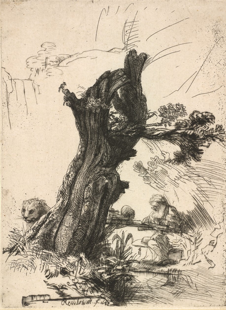 Szent Jeromos egy Pollard Willow mellett, 1648. alkotó: Rembrandt van Rijn