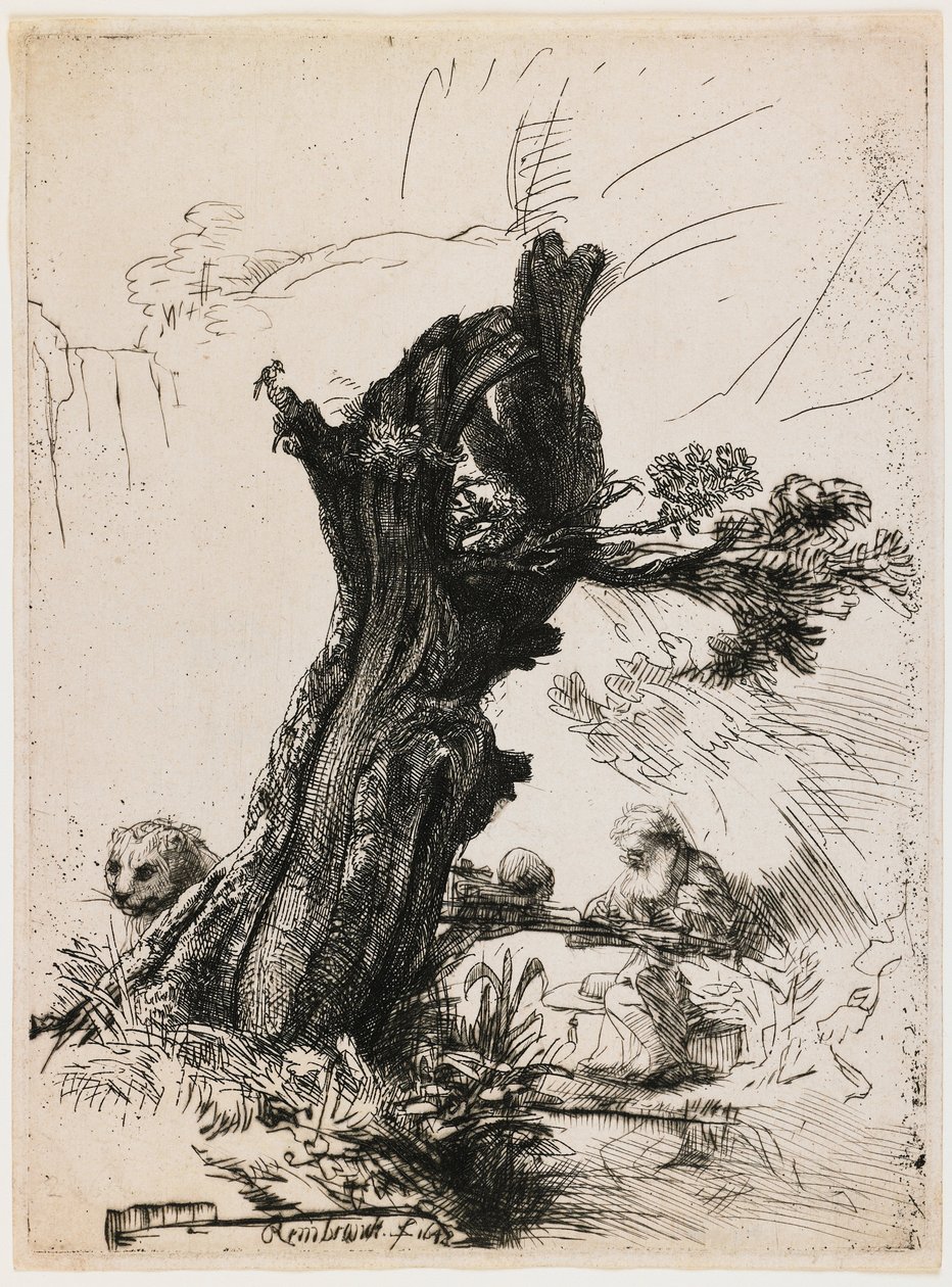 Szent Jeromos a metszett fűzfa mellett alkotó: Rembrandt van Rijn