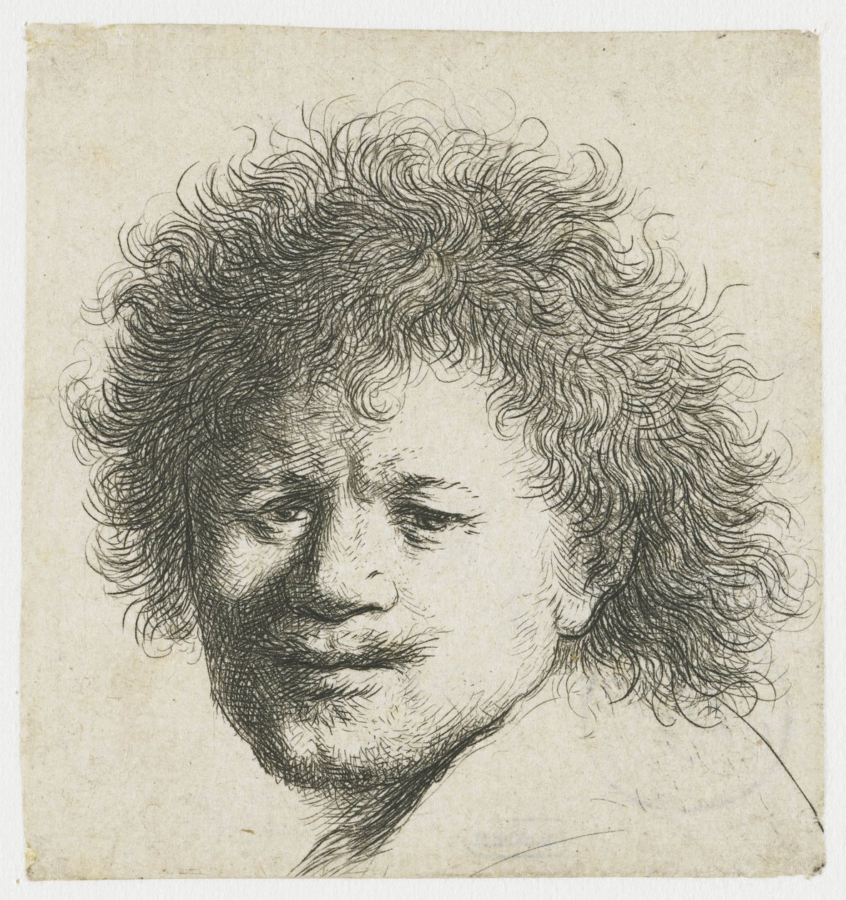 Önarckép hosszú, dús hajjal: csak fej alkotó: Rembrandt van Rijn