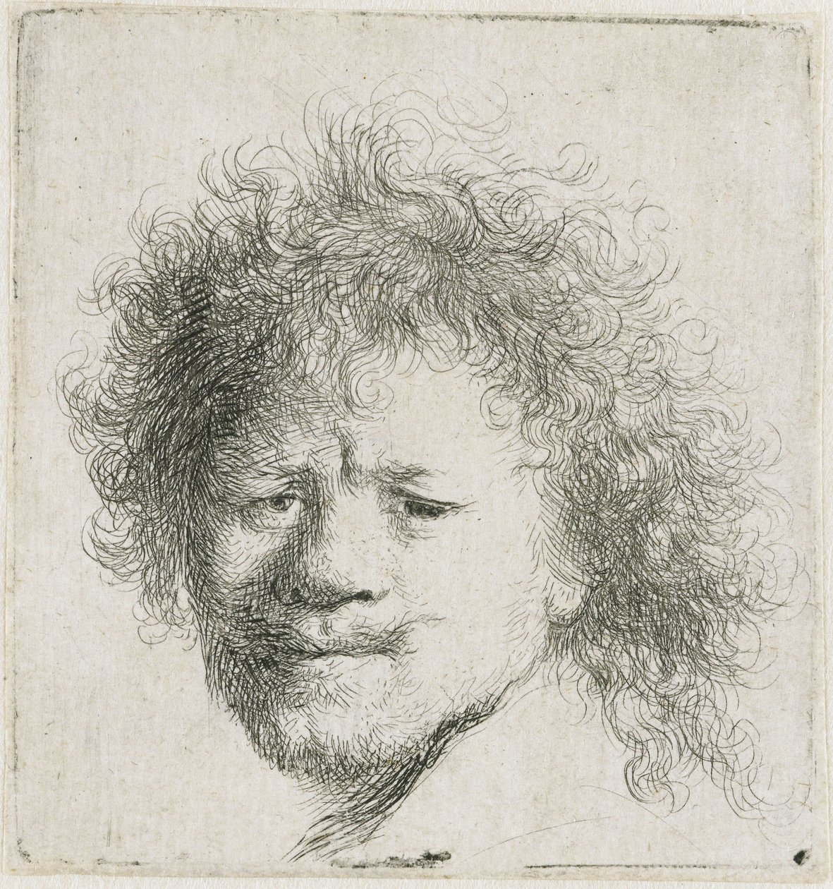Önarckép hosszú, dús hajjal: csak a fej alkotó: Rembrandt van Rijn