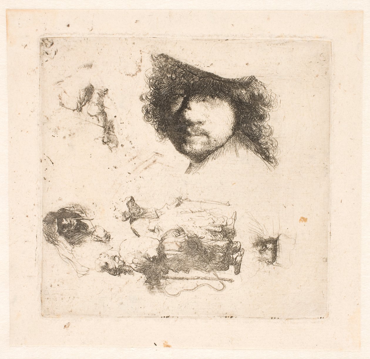 Tanulmányi lap: Rembrandt feje, kolduspár, öregember és öregasszony feje stb. alkotó: Rembrandt van Rijn