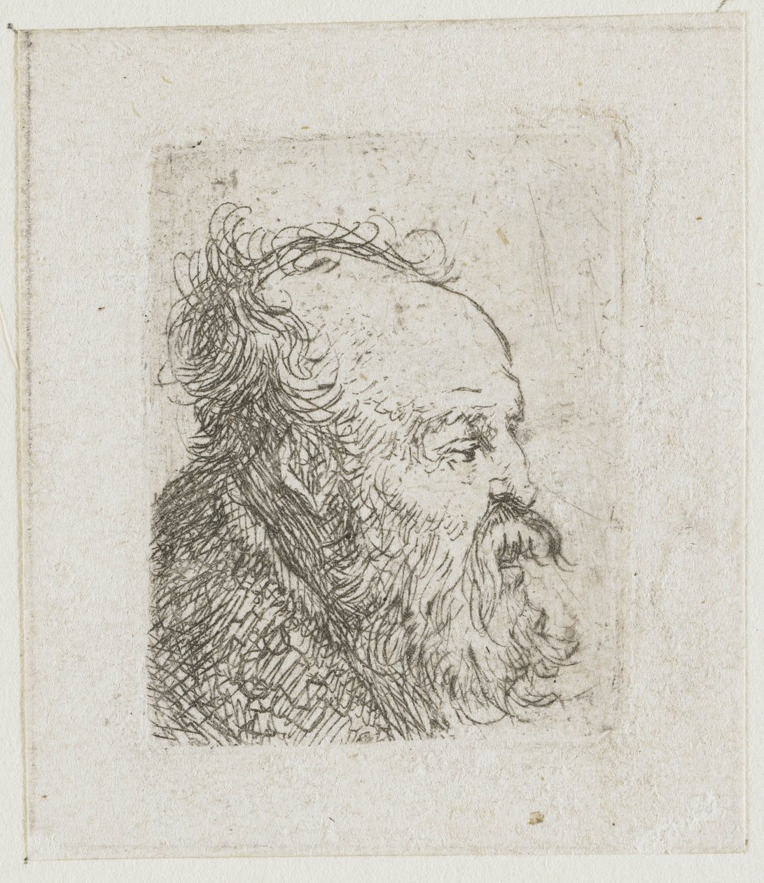 Férfi fejekről készült vázlatlap: idős, szakállas férfi, szinte jobbról profilból: félig nyitott szájjal alkotó: Rembrandt van Rijn