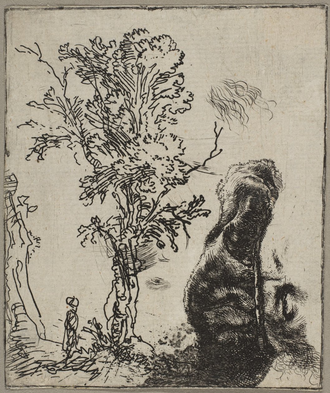 Lap két tanulmánnyal: egy fa és egy veleget viselő Rembrandt fejének felső része..., kb. 1642. alkotó: Rembrandt van Rijn