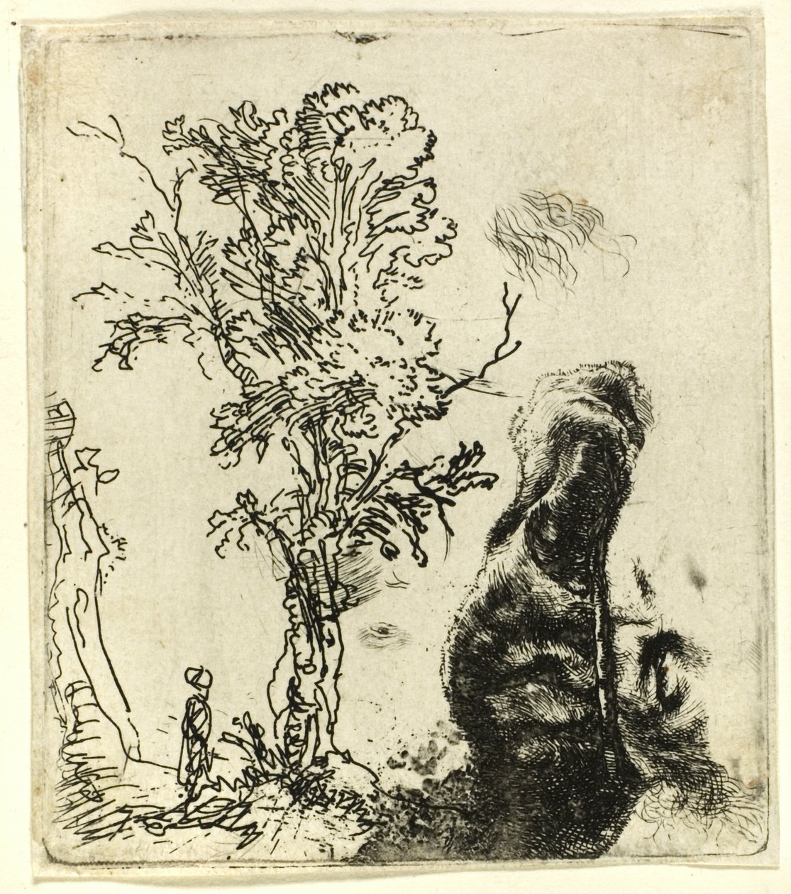 Lap két tanulmánnyal: egy fa és a bársonysapkát viselő művész fejének felső része alkotó: Rembrandt van Rijn