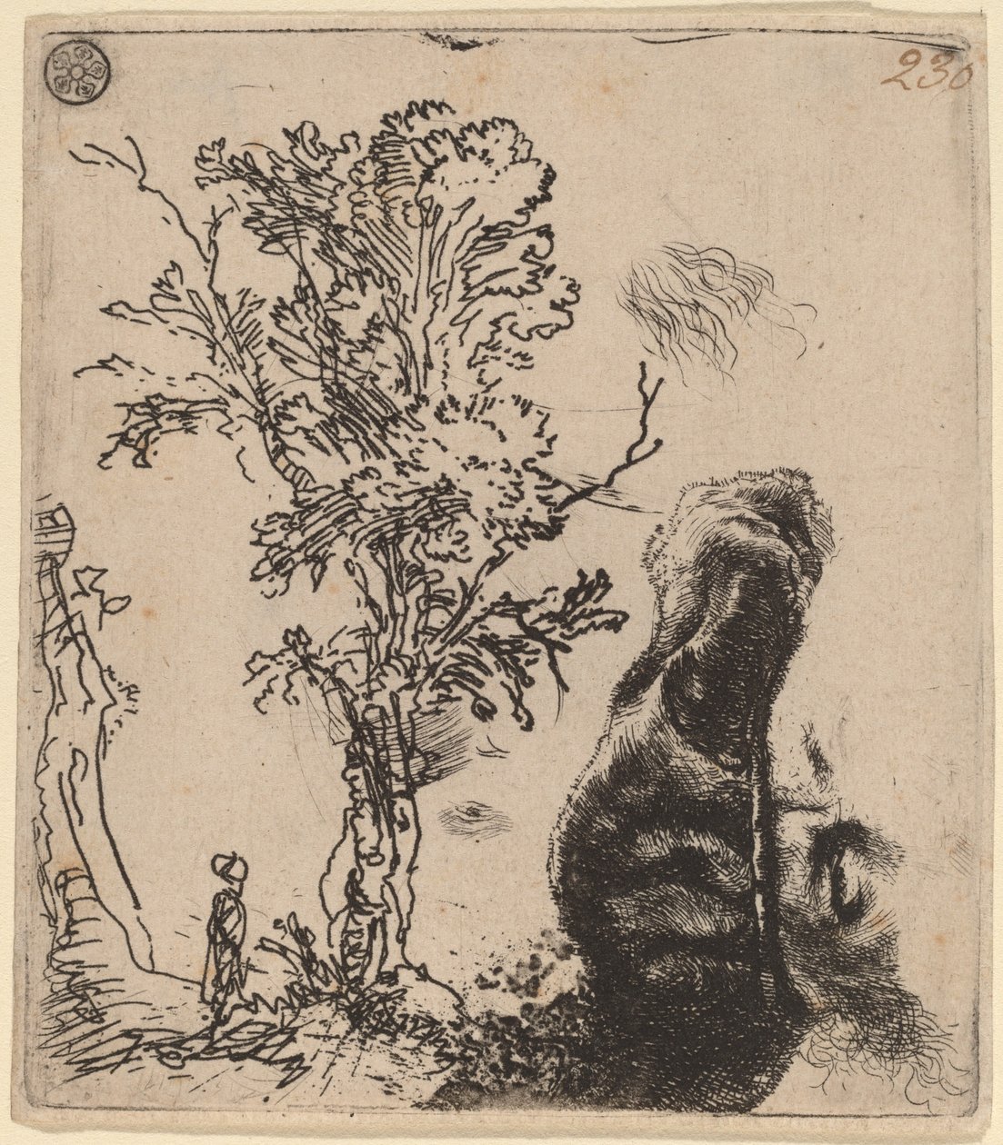 Lap két tanulmánnyal: egy fa és a bársonysapkát viselő művész fejének felső része alkotó: Rembrandt van Rijn