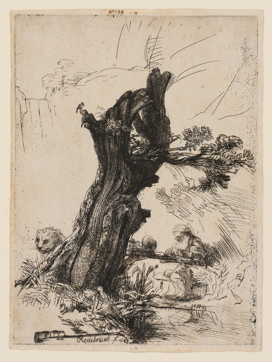 Szent Jeromos egy pollard fűz mellett alkotó: Rembrandt van Rijn