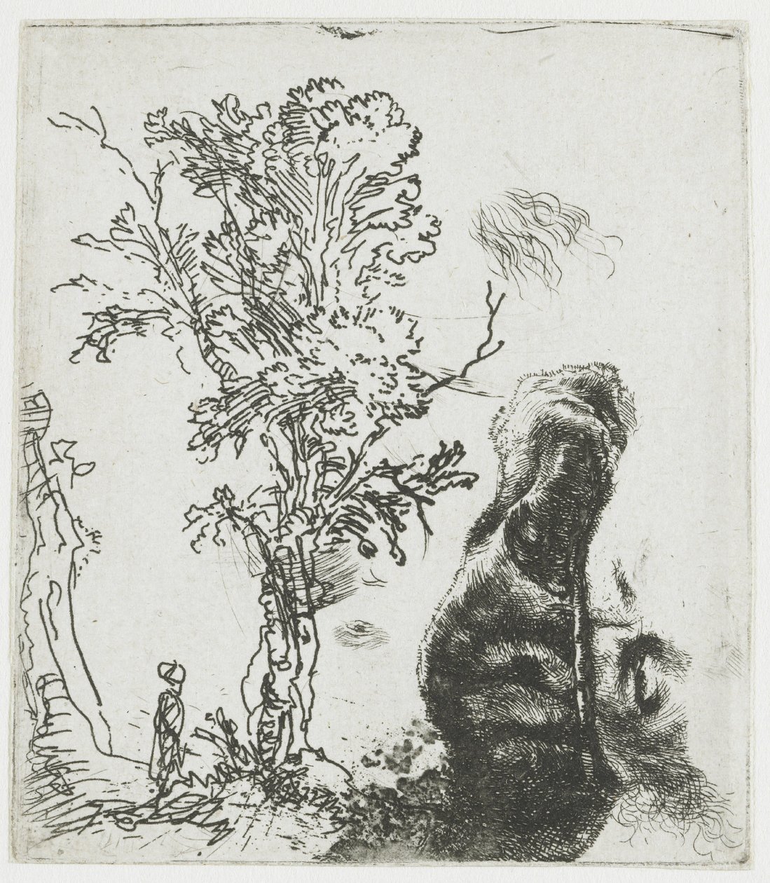 Tanulmánylap egy fával, valamint Rembrandt fejének felső részével, sapkával alkotó: Rembrandt van Rijn