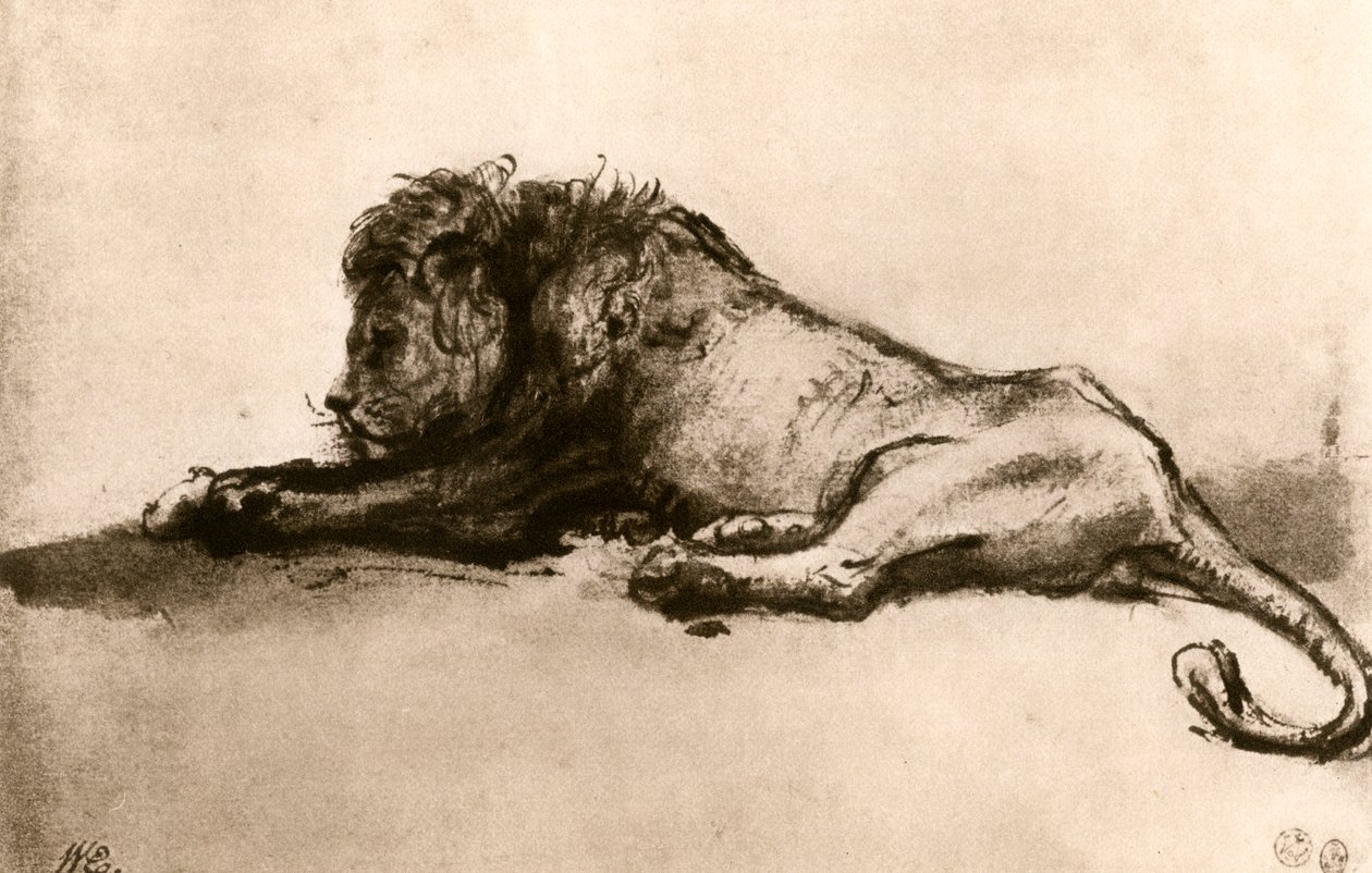 Oroszlántanulmány, 1913. alkotó: Rembrandt van Rijn