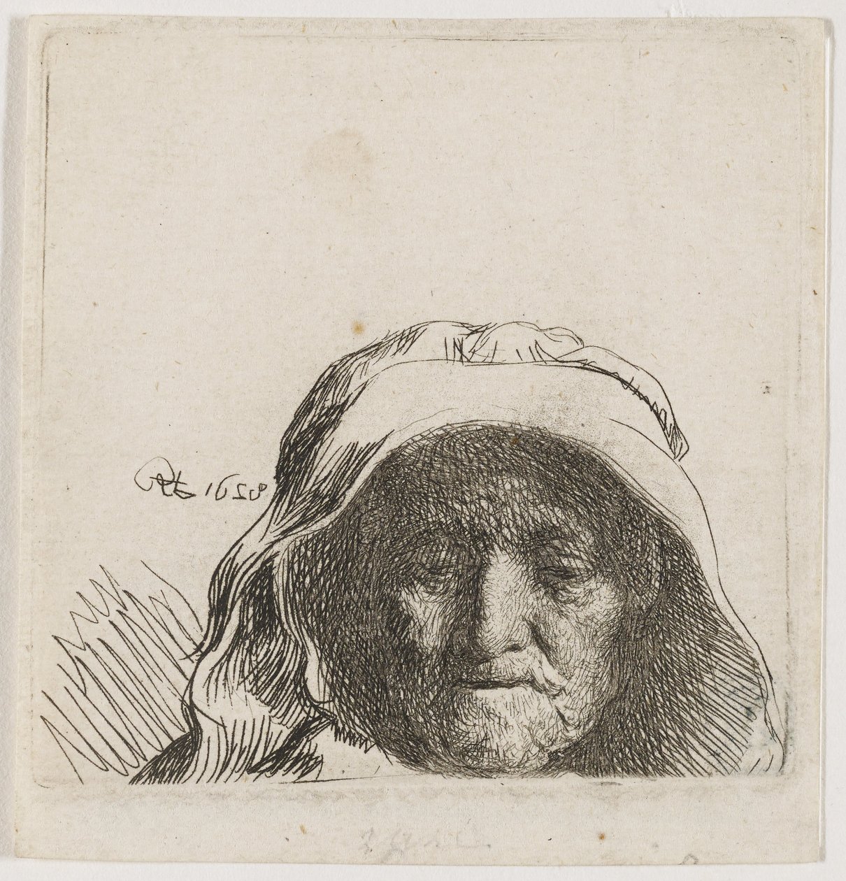 A művész édesanyja: csak a fej, teljes arc alkotó: Rembrandt van Rijn