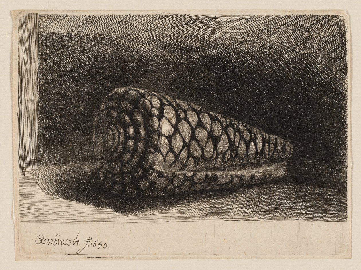 A héj alkotó: Rembrandt van Rijn
