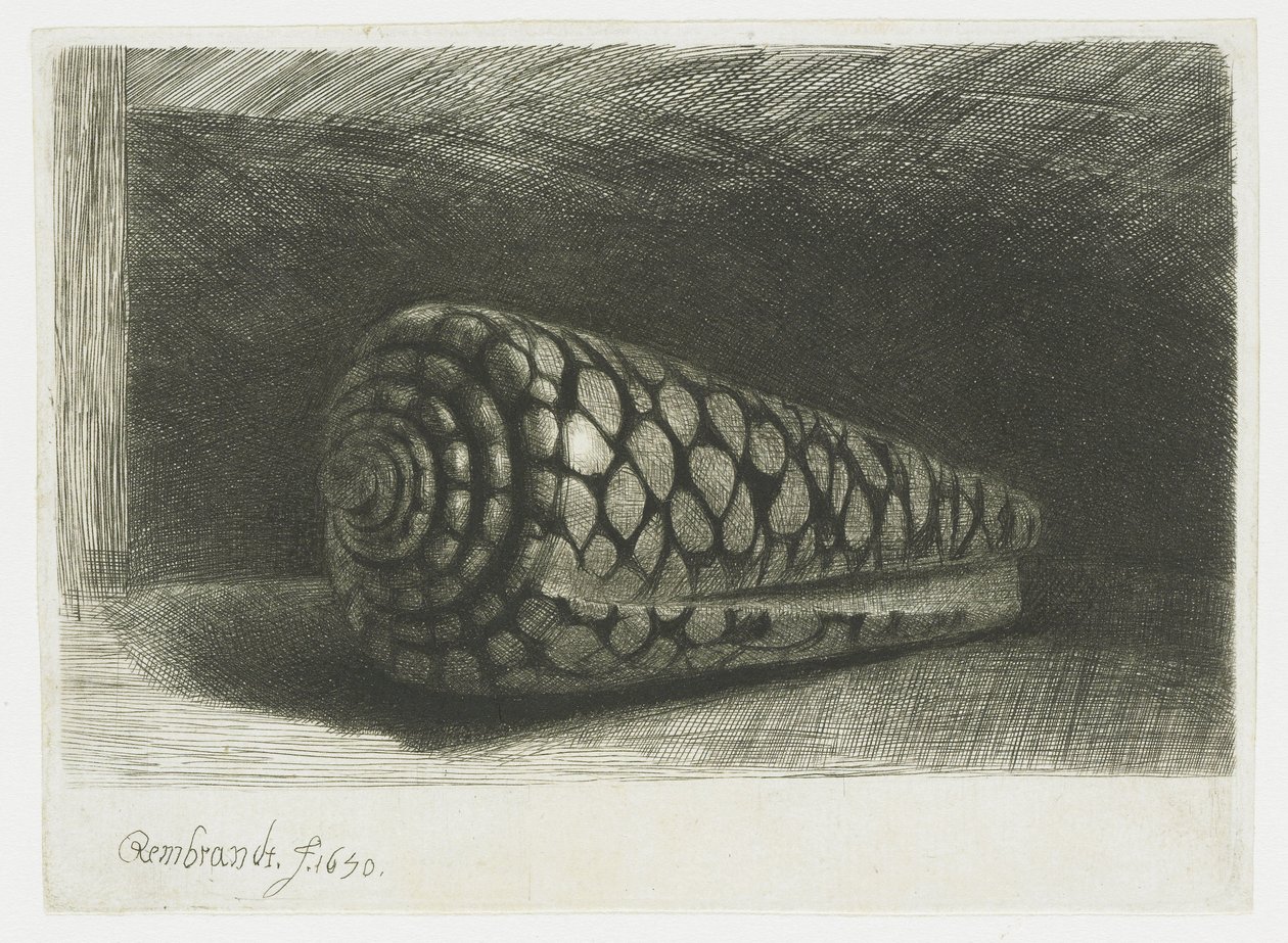 A héj alkotó: Rembrandt van Rijn
