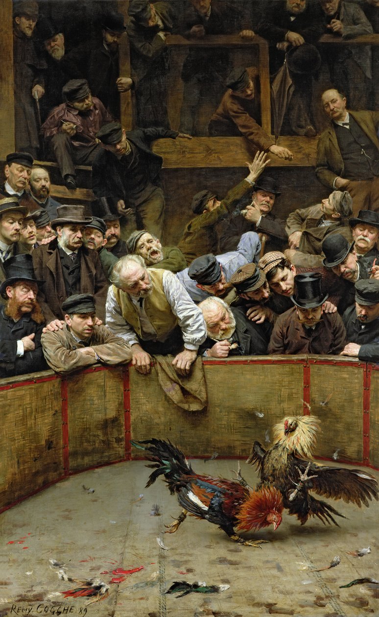A kakasviadal, 1889 alkotó: Remy Cogghe