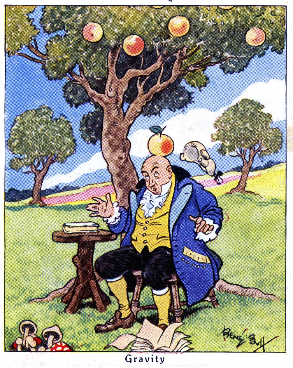 Isaac Newton felfedezi a gravitációt, 1936 alkotó: René Bull