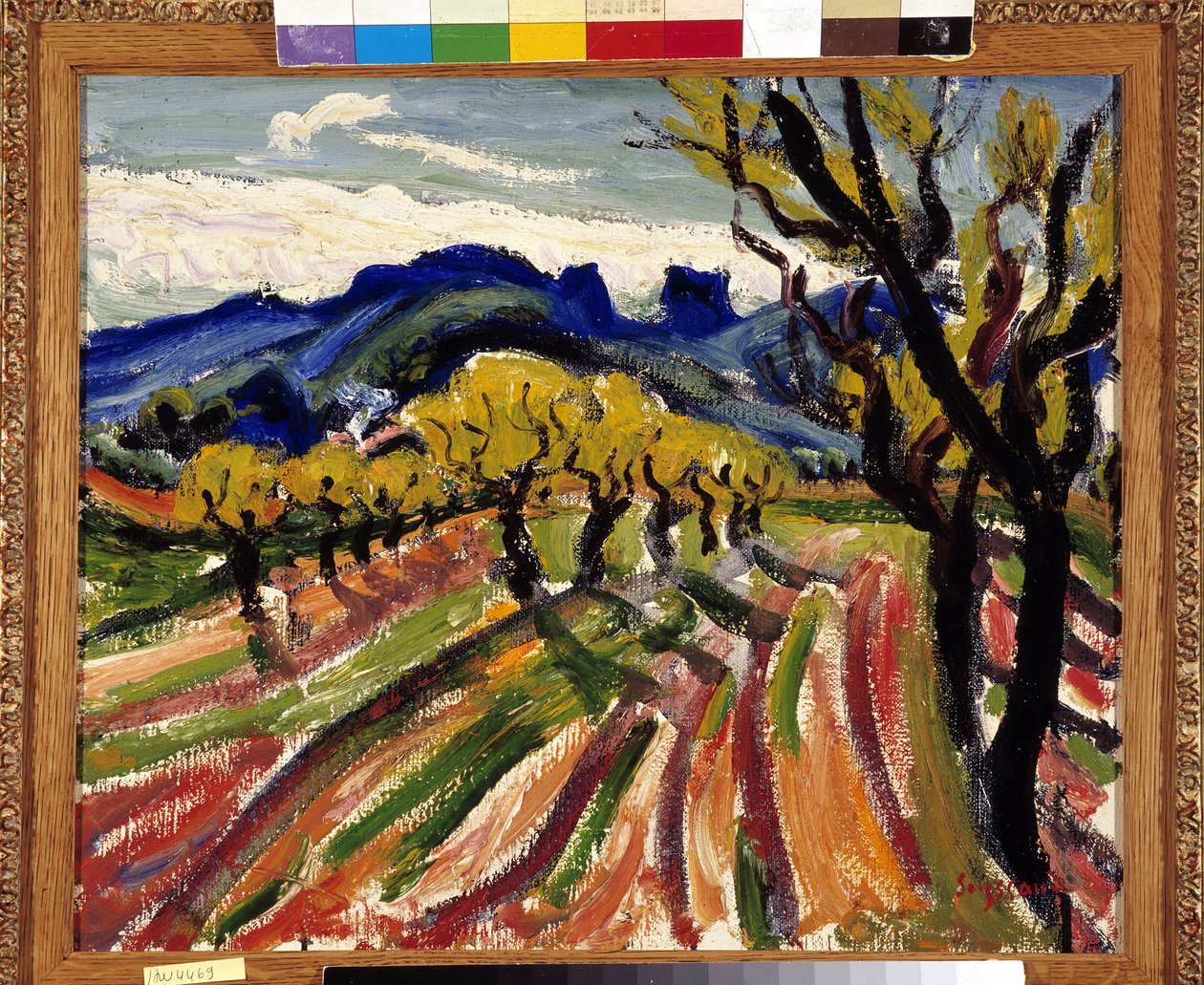 Olajfák mezője az Alpilles-ban (olaj, vászon) alkotó: Rene Auguste Seyssaud