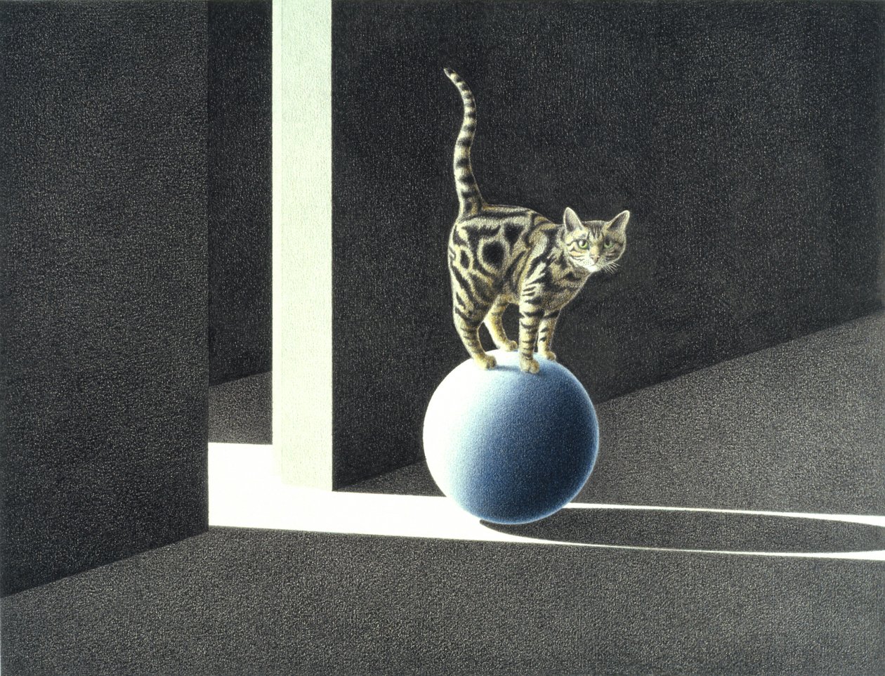 Kék labda alkotó: Rene Boin