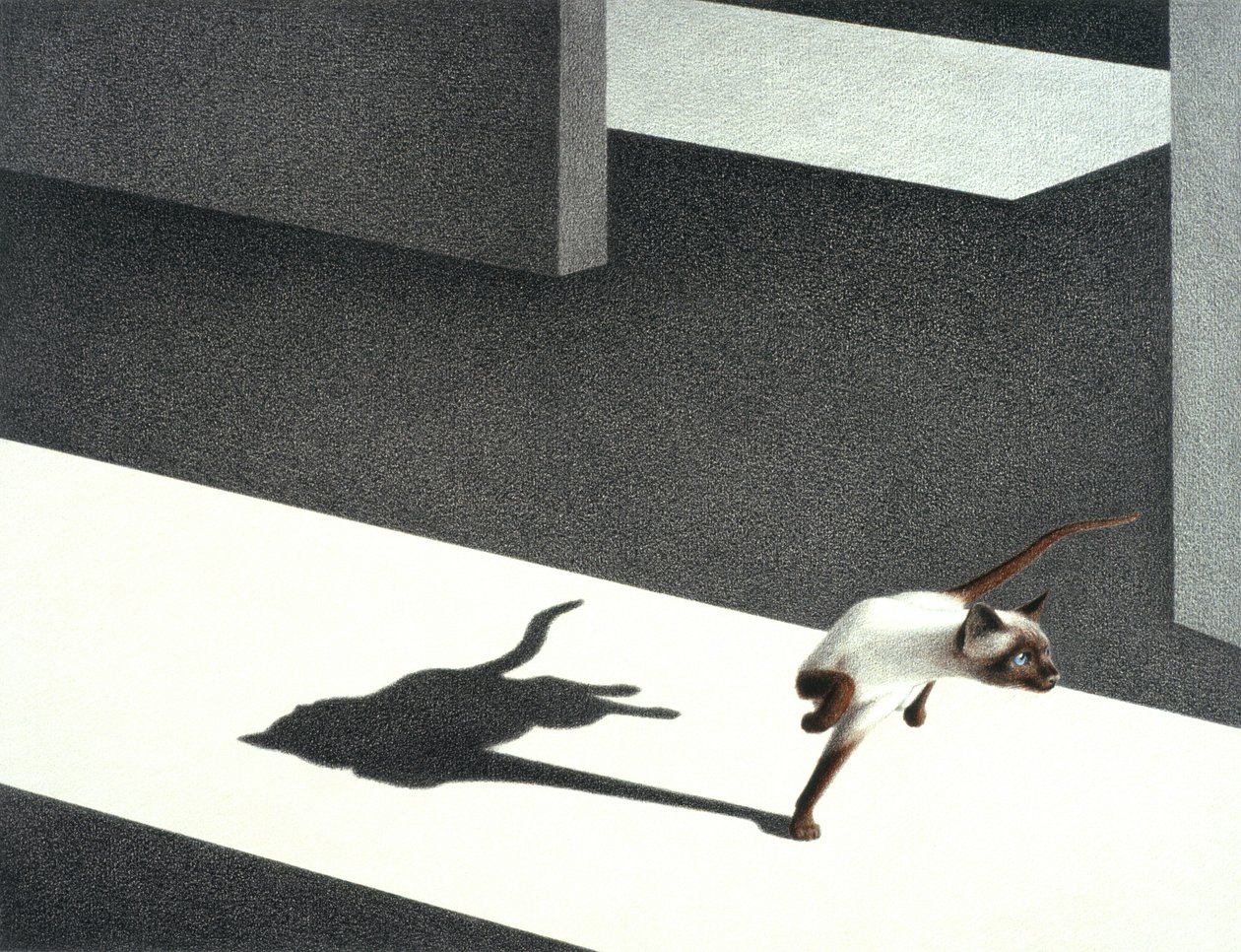 Sarok alkotó: Rene Boin