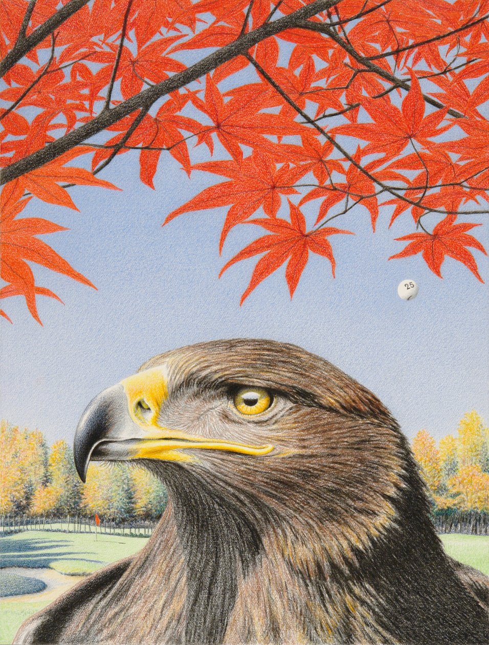 Eagle, 2015, Színes ceruzarajz papírra alkotó: Rene Boin