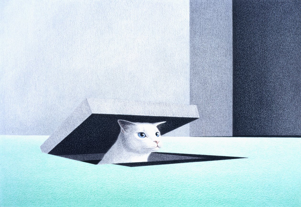 Nyílás alkotó: Rene Boin