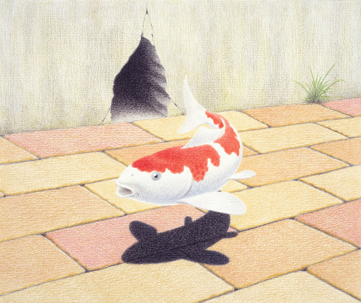 Koi alkotó: Rene Boin